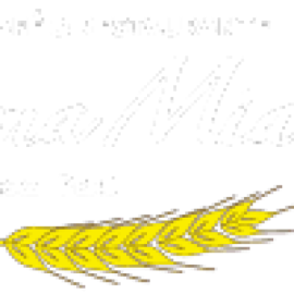 msapplication-TileImage